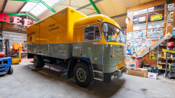 20250208-Lewiszong-00505